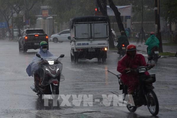 Áp thấp nhiệt đới có khả năng mạnh lên thành bão số 13 trong tuần tới