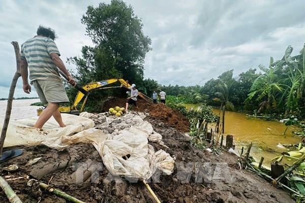 Sạt lở bờ sông tại Bến Tre diễn biến phức tạp