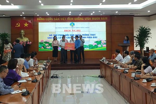 Cần 15.000 tấn giống lúa để khôi phục sản xuất sau bão số 3 và mưa lũ