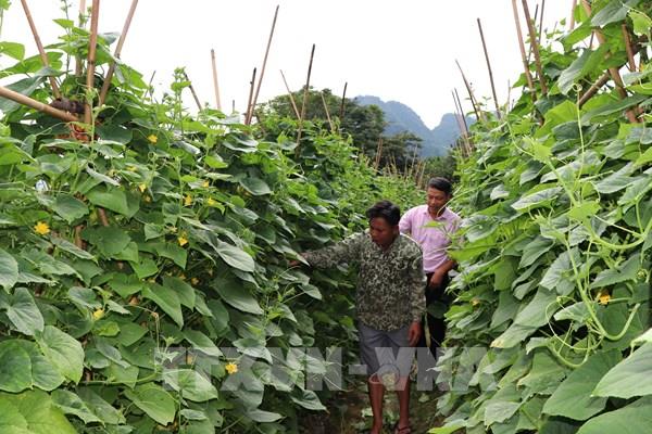 Bắc Ninh có 27 xã đăng ký xây dựng đạt chuẩn nông thôn mới nâng cao