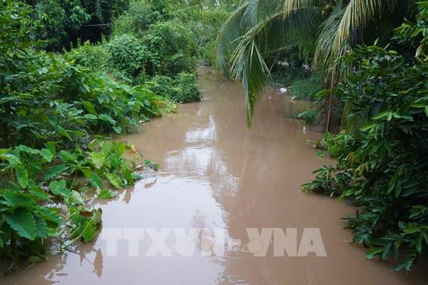 Đỉnh lũ năm 2024 ở Đồng Tháp sẽ ở mức cao hơn năm 2023