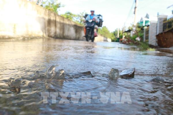 Sóc Trăng tăng cường giải pháp ứng phó triều cường