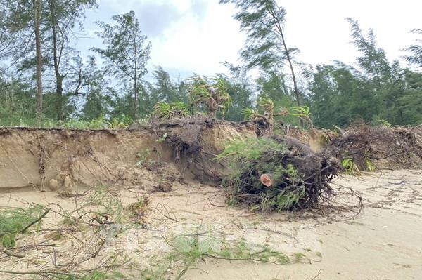 Sạt lở nghiêm trọng tại bờ biển Xuân Hội, Hà Tĩnh