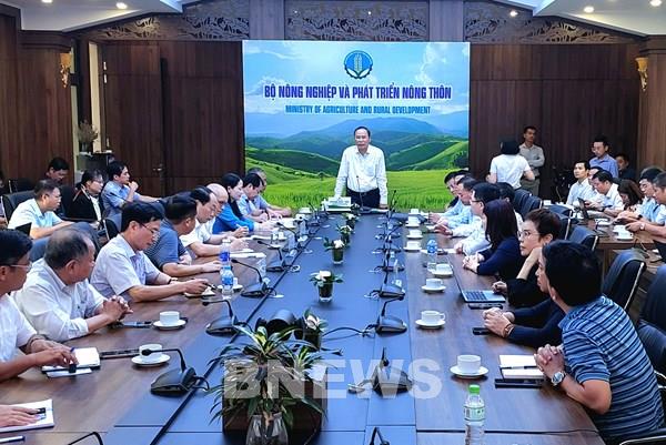 Kêu gọi hỗ trợ khôi phục sản xuất chăn nuôi và thủy sản sau bão, lũ