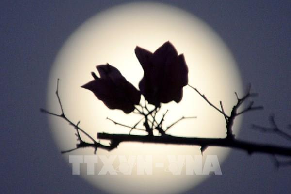 Tổng hợp sự kiện quốc tế nổi bật trong tuần qua ảnh (từ ngày 16-22/9/2024)