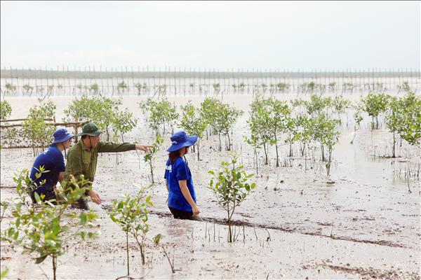 Doanh nghiệp nỗ lực phát triển bể hấp thụ carbon, hướng đến mục tiêu Net Zero 2050