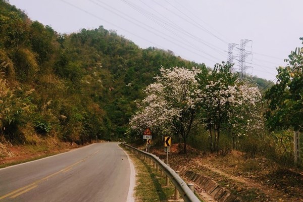 Thông đường Quốc lộ 6 đoạn qua địa phận xã Chiềng Hắc, huyện Mộc Châu