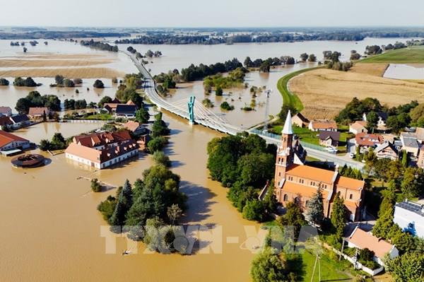 Lũ lụt ở châu Âu gây thiệt hại lớn cho các công ty bảo hiểm