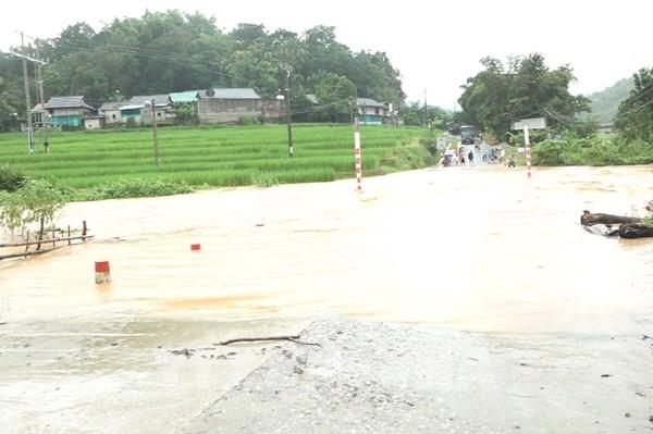 Lũ trên các sông ở Thanh Hóa đang lên: Đảm bảo an toàn đê điều