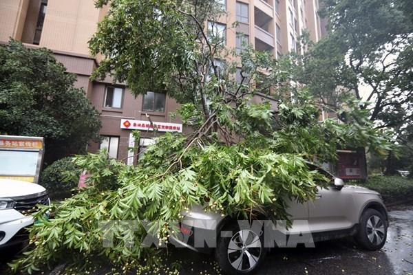 Hơn 430.000 người bị ảnh hưởng do mưa bão Bebinca tại Trung Quốc