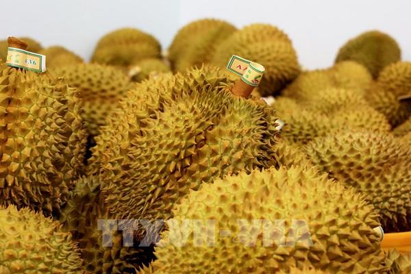 Việt Nam bất ngờ trở thành “vua sầu riêng” thế giới