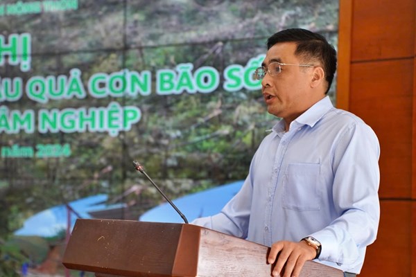 Thứ trưởng Nguyễn Quốc Trị: Lập phương án sản xuất, hỗ trợ cây giống trồng lại rừng