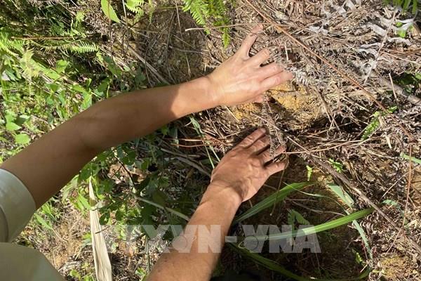 Nghệ An: Xuất hiện vết nứt lớn trên núi Pù Mèo, nhiều hộ dân phải sơ tán khẩn cấp