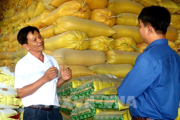 "Tỷ phú lúa giống" hai lần là Nông dân Việt Nam xuất sắc