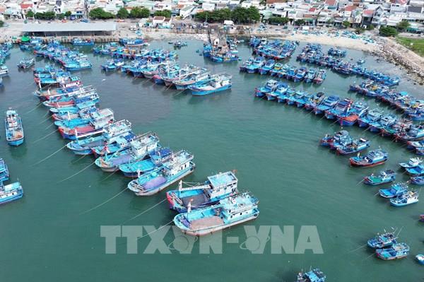 Tổng lực chống khai thác IUU: Bài 1 - Giám sát, xử lý tàu cá vi phạm