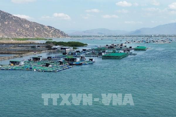 Nghiêm túc thực hiện xử lý vi phạm hành chính trong thủy sản