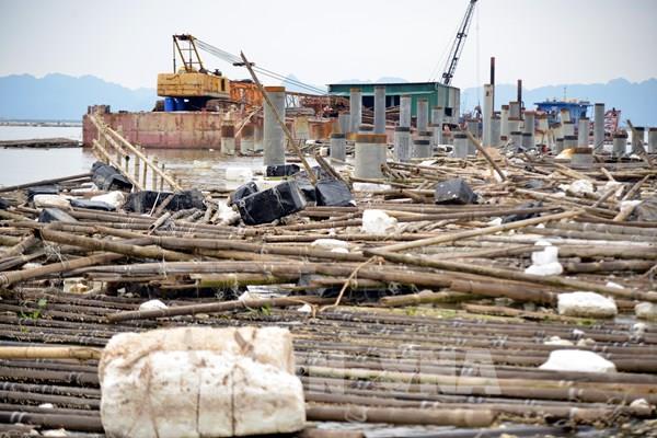 Doanh nghiệp Quảng Ninh vực dậy sau bão số 3​