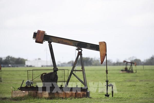 Giá dầu giảm 17% trong quý III/2024