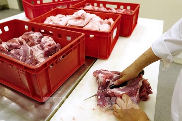 Trung Quốc gia hạn 6 tháng điều tra chống bán phá giá thịt lợn EU