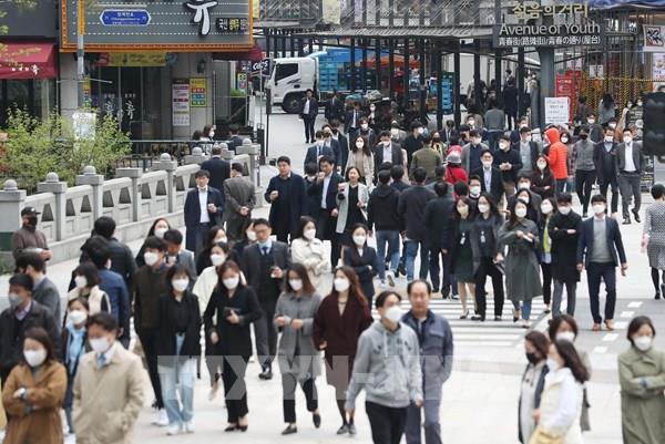 Lợi nhuận của các công ty bảo hiểm Hàn Quốc tăng mạnh