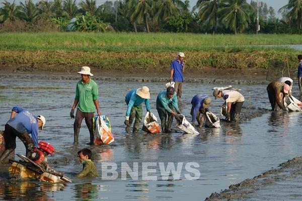 Kiên Giang nuôi xen canh thủy sản an toàn sinh học cho lợi nhuận cao