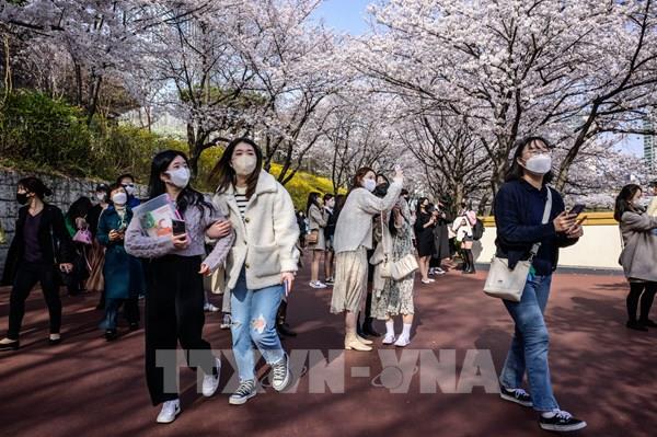 Hàn Quốc chấn chỉnh các tour du lịch phá giá và ép khách mua sắm