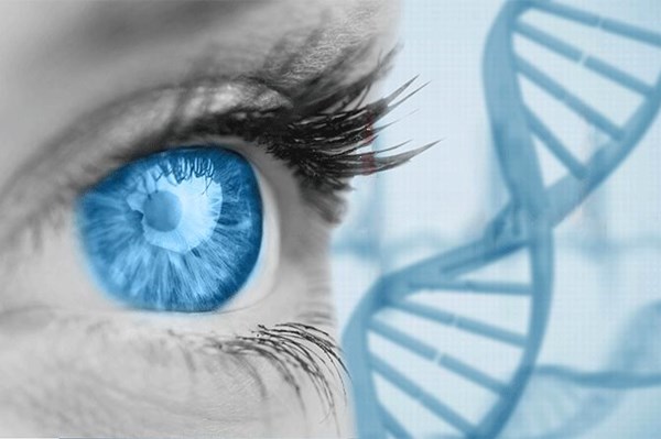 Phát hiện gene gây bệnh mắt di truyền hiếm gặp
