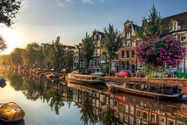 Bè nổi thực vật trên kênh Brussels, giải pháp bảo tồn đa dạng sinh học