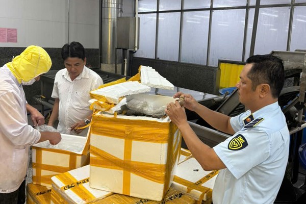  Phát hiện, tạm giữ lượng lớn tôm chứa tạp chất agar đang lưu thông trên thị trường