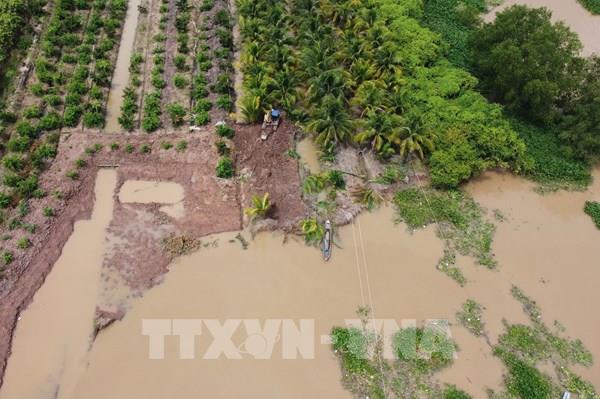 Đồng Tháp ứng phó, giảm thiểu thiệt hại do sạt lở bờ sông