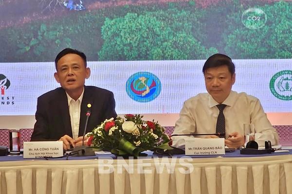 Lâm nghiệp là lĩnh vực duy nhất cho phát thải ròng âm