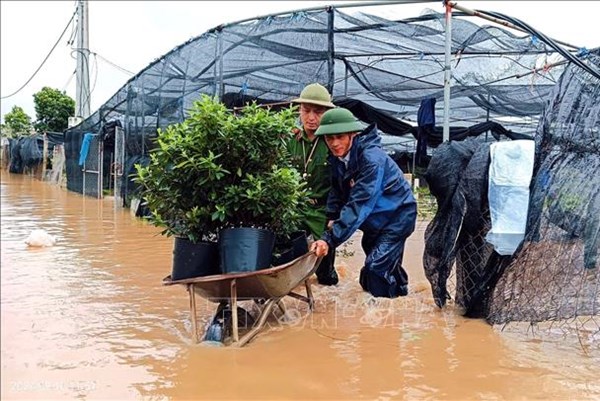 Giải pháp nào vực dậy các hợp tác xã sau thiên tai?