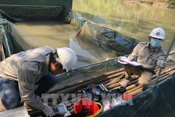 Vụ cá chết hàng loạt tại Tuyên Quang: Tất cả mẫu nước đều không đạt quy chuẩn Kỹ thuật quốc gia