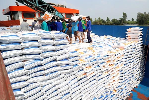 Ấn Độ “mở kho” gạo, doanh nghiệp chế biến thêm nguồn cung