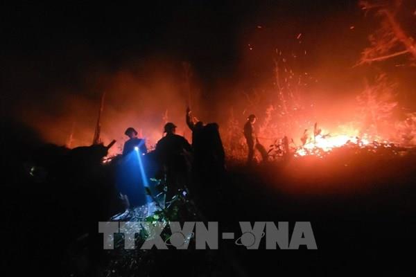 Dập tắt đám cháy rừng ở xã đảo Ngọc Vừng (Quảng Ninh)