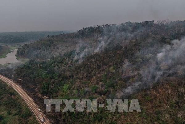 Báo động hệ sinh thái rừng và sông Amazon