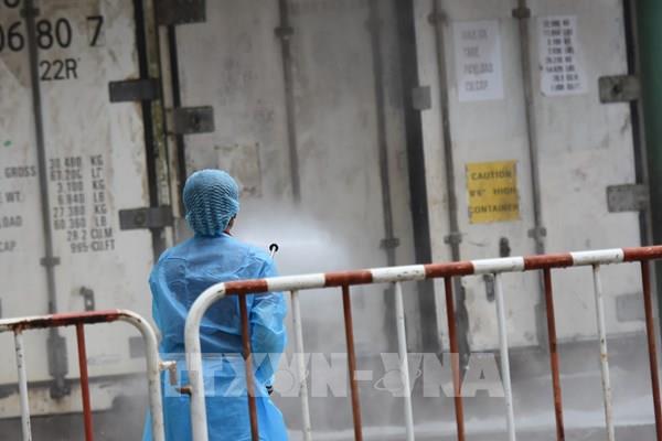 Giới khoa học lo ngại ca H5N1 có dấu hiệu thích nghi với người