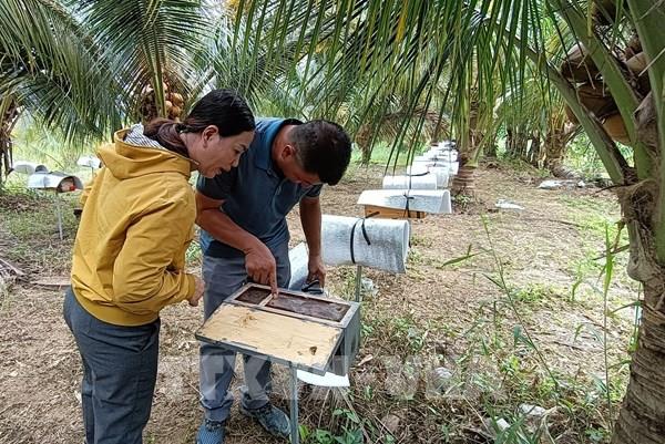 Thu hàng tỷ đồng từ phát triển kinh tế trang trại và nông nghiệp tuần hoàn