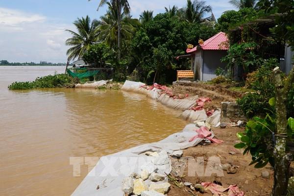 Khắc phục điểm sạt lở nghiêm trọng ở Đồng Tháp