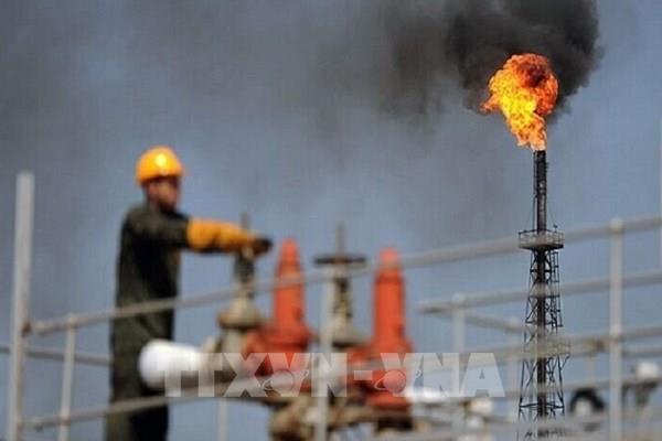 Nguyên nhân khiến EIA hạ dự báo nhu cầu dầu thế giới