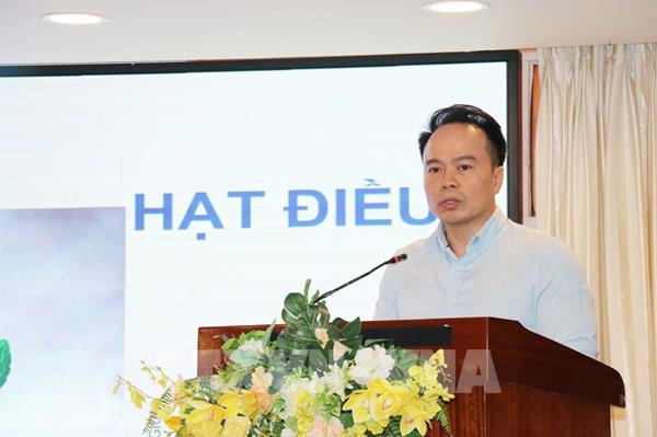 Tối ưu hóa lợi ích từ các FTA cho ngành điều Việt Nam