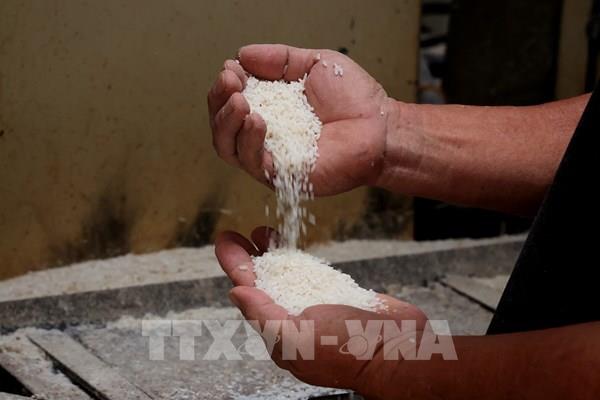 Gạo Việt Nam không nằm trong danh sách bị tạm giữ tại Thuỵ Điển