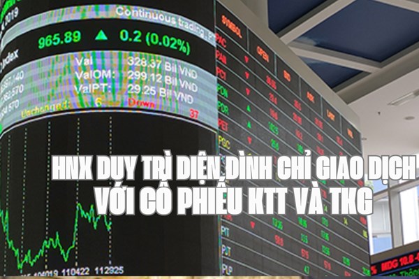 HNX duy trì diện đình chỉ giao dịch với cổ phiếu KTT và TKG 