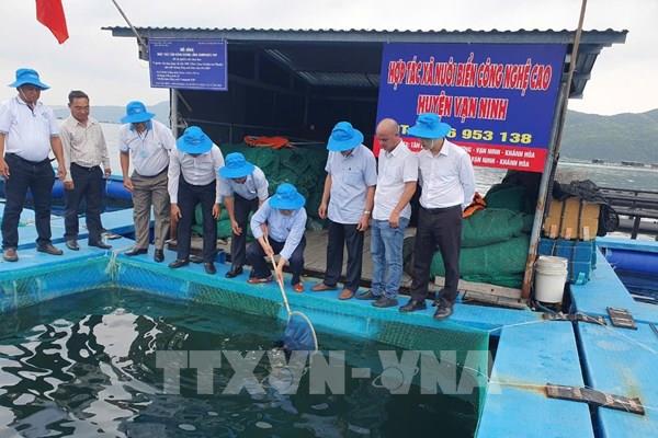 Ra mắt hợp tác xã nuôi biển công nghệ cao đầu tiên ở Khánh Hòa