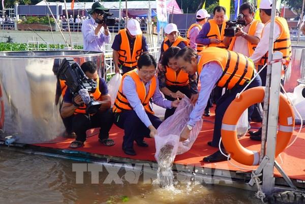 Thả cá tái tạo nguồn lợi thủy sản tại Đồng Tháp