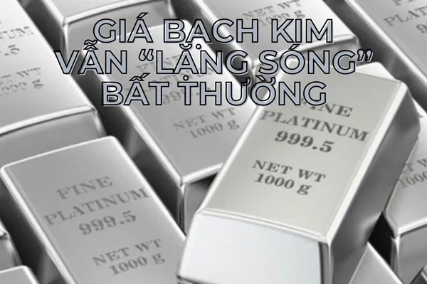 Thị trường kim loại khởi sắc