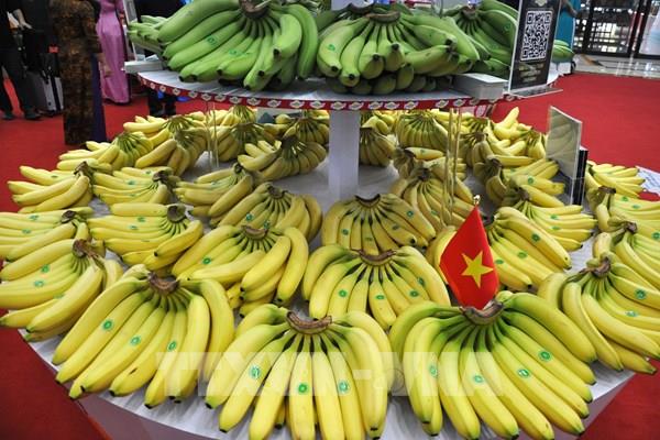 Xuất khẩu rau quả có thể lập kỷ lục mới 7,5 tỷ USD