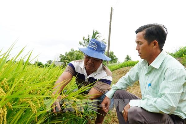 Những tỷ phú nông dân siêng năng, nhạy bén