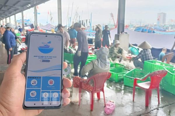 Khắc phục "Thẻ vàng" IUU: Thử nghiệm ứng dụng công nghệ ngăn chặn khai thác trái phép thủy sản