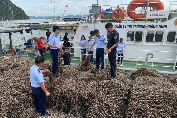 Điểm sáng trong kiểm soát thị trường tuyến thủy nội địa tại Quảng Ninh